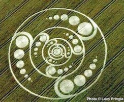 crop circles,cercles de cultures