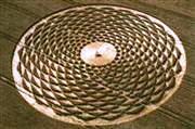 crop circles, cercles de cultures