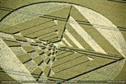 crop circles,agroglyphes