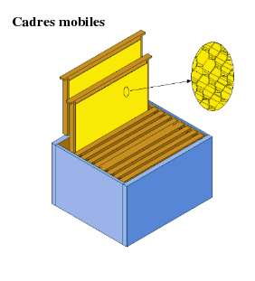 détails des éléments intérieur de la ruche