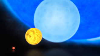 Comparaison des tailles des �toiles