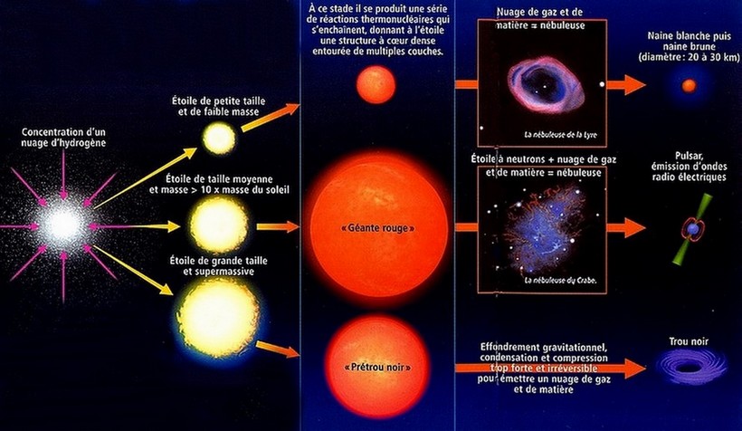 Formation des étoiles dans une nébuleuse